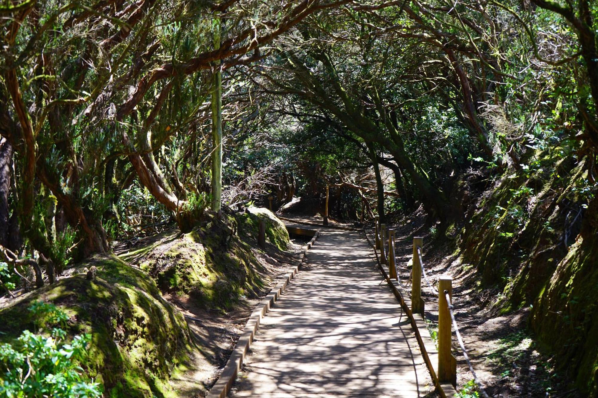 Americas Las Vinas Arona (Tenerife) Exterior foto